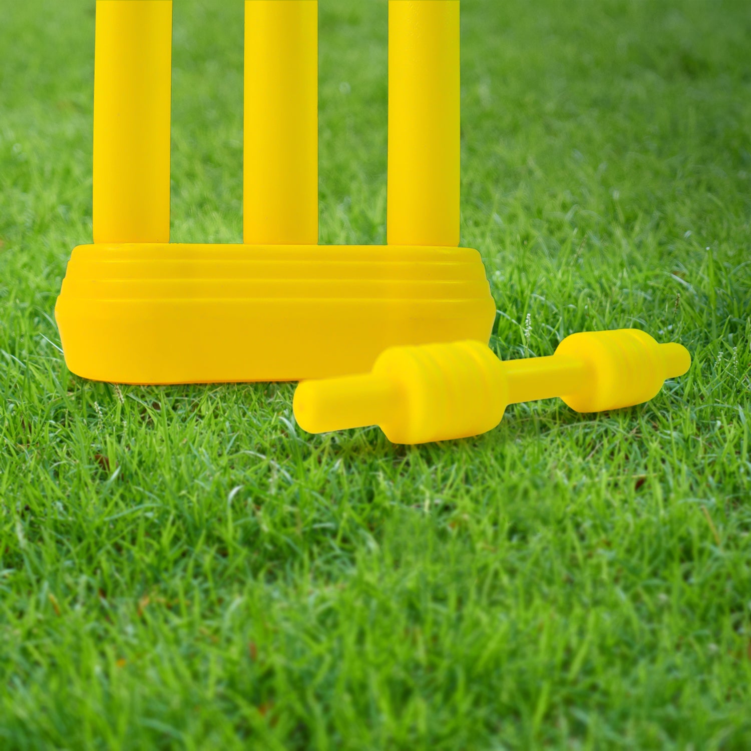 Small Cricket Kit For Boys Girls Cricket Set